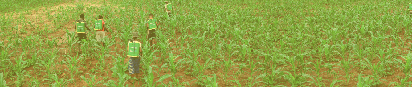 https://www.agrima.mg/wp-content/uploads/2023/03/agrima-banners.jpg